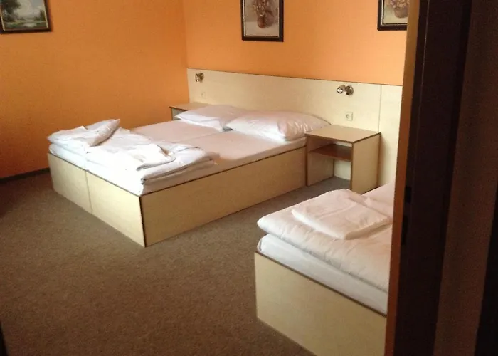 Mlyn - Jihlava Hotel 3*